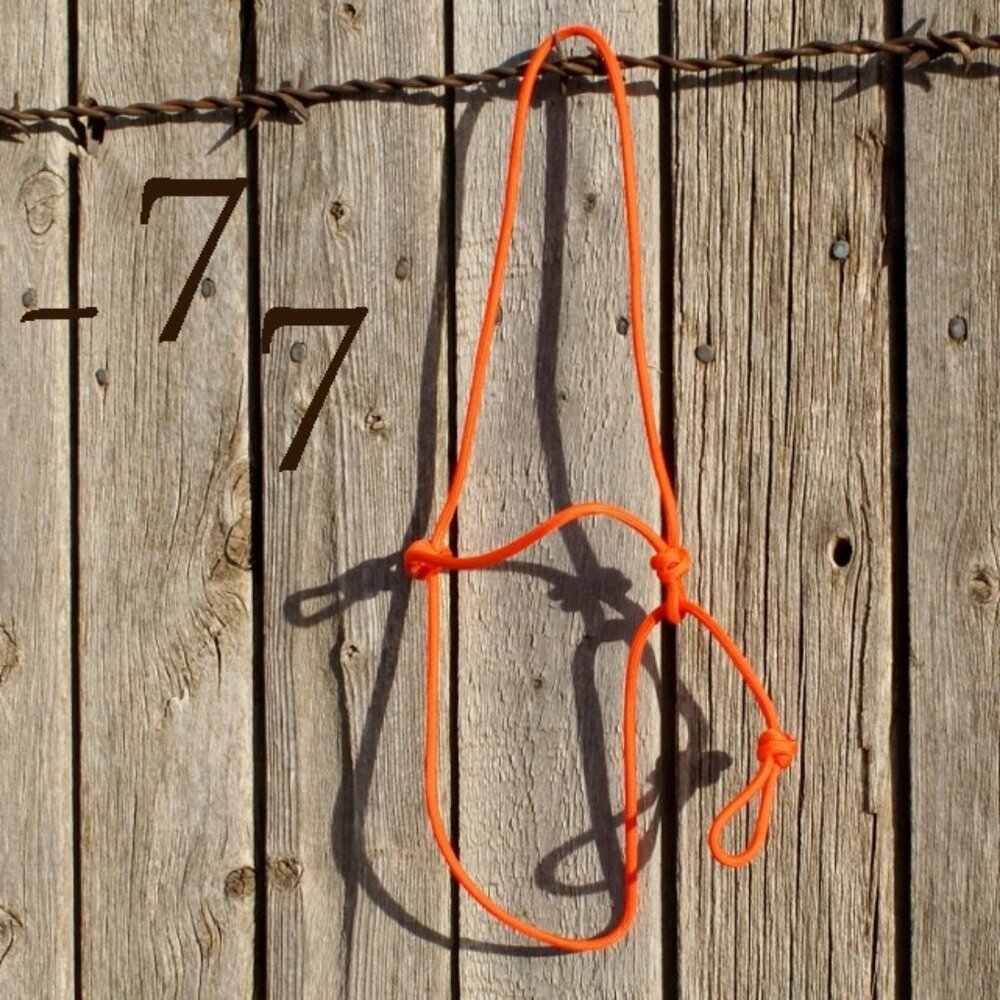 The ORIGINAL Paracord Show Ring Halter -  Sheep/Lamb/Goat Livestock Show Halter